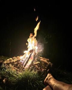 ManzanilloGlamping Aire Sevilla Valle的相册照片
