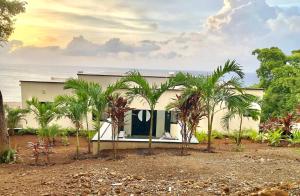 a house with palm trees in front of the ocean at Heart of Poms Villa in Punta Blanca