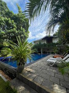 a resort pool with two lounge chairs and a palm tree at Ali Bungalow - Galle in Galle +17 photos