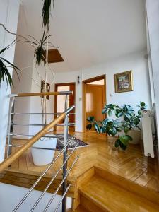 Φωτογραφία από το άλμπουμ του Apartman Stari Grad, Baščaršija στο Σαράγεβο