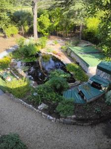 a pond in the middle of a garden at Pradines in Saint-Pons-de-Mauchiens