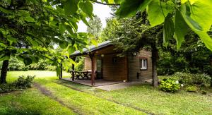 a small wooden cabin with a bench in the yard at Siedlisko Basiówka in Alfredówka +28 photos