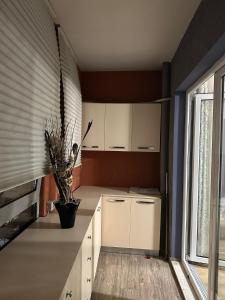 una cucina con armadi bianchi e un vaso con una pianta di Modern 2BR Apartment with Living Room and Private garage a Kashari