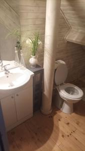 a bathroom with a sink and a toilet with plants at Maison Le Nova in Paray-le-Monial +5 photos