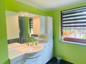 a bathroom with a sink and a mirror at Ferienhaus am Röhrensteig in Bad Gottleuba +9 photos