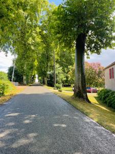 an empty road with a tree on the side of it at Le Petit Basket in Castex