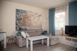 a living room with a couch and a tv at Apartamenty Every Sky Polna 4 Karpacz in Karpacz