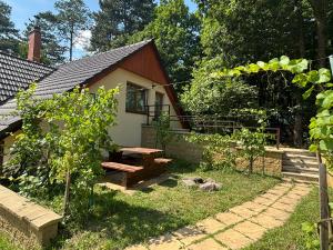LipuvkaAtik V Borovičkách的花园,庭院内有带长凳的房屋