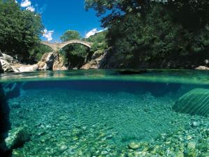 Paesaggio naturale nelle vicinanze dello chalet