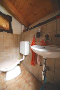 un bagno con un water e un lavandino di Rustic on the Verzasca River a Corippo