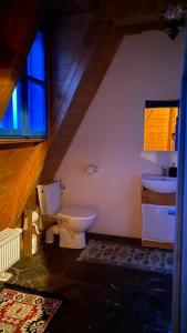 a bathroom with a toilet and a sink at Poiana Creasta Cocoșului-Casa Floare De Nu Mă Uita in Breb