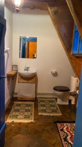 a bathroom with a sink and a toilet at Poiana Creasta Cocoșului-Casa Floare De Nu Mă Uita in Breb