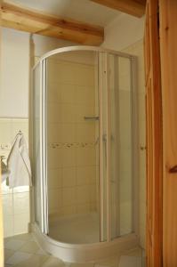 a shower with a glass door in a bathroom at Ubytování Česká Kanada in Český Rudolec