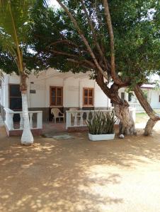 Photo de la galerie de l'établissement Cabaña el cielo, à Lorica 21 autres photos