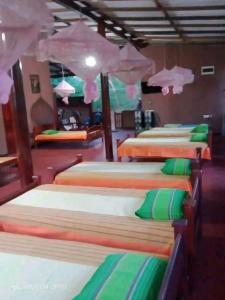 a group of four beds in a room at Mk yala safari and guest house in Hambantota