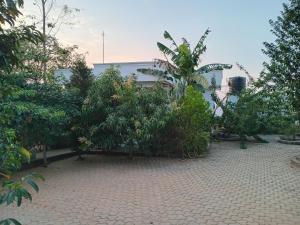 Φωτογραφία από το άλμπουμ του living waters σε Bombo