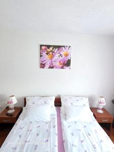 Postel nebo postele na pokoji v ubytování Apartments Žegarac House