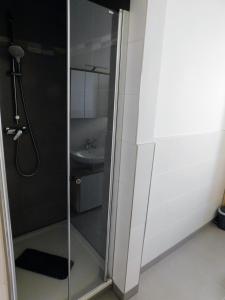 a shower with a glass door in a bathroom at Apartment in Magdeburg-Salbke mit Balkon und WiFi in Magdeburg +6 photos