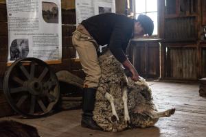 Gallery image of Estancia Nibepo Aike in Colonia Francisco Perito Moreno +37 photos