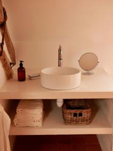 ein Badezimmer mit einem Waschbecken und einem Spiegel auf einem Regal in der Unterkunft Ferme des Millonets - petit gîte in Vienne-en-Arthies
