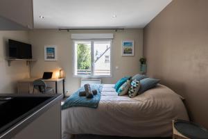 a bedroom with a bed with pillows and a window at Studio Cosy La Fuye, proche gare, VELORA in Tours