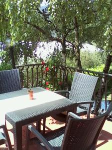 Zahrada ubytování Villa Leilani B&B