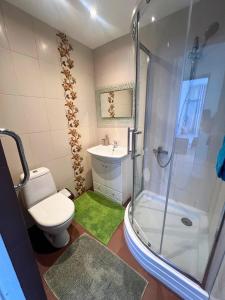 un bagno con doccia, WC e lavandino di Cozy retreat next to Palanga a Vydmantai