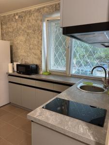 a kitchen with a sink and a microwave and a window at MILANIA однокомнатная квартира in Poltava