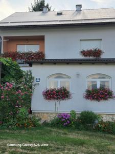 Zahrada ubytování Apartments Žegarac House