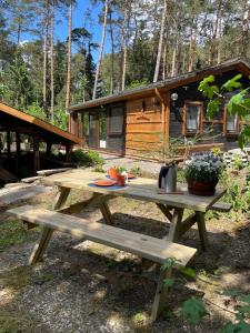 a picnic table in front of a log cabin at Taylors Allerhaus in Hornbostel