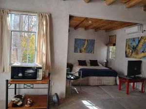 a bedroom with a bed and a tv in it at Las Glicinas de Chacras in Chacras de Coria