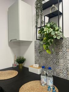 eine Küche mit zwei Flaschen Wasser auf der Theke in der Unterkunft Apartament Corvin 2 in Hunedoara + 39 Fotos