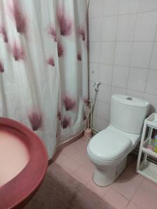 a bathroom with a toilet and a sink and a shower curtain at Room in central Amman in Amman