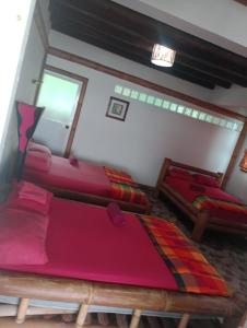 Gallery image of hotel manglar in Mompiche