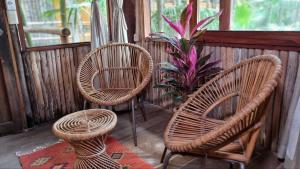 Fotografie z fotogalerie ubytování HIPPIE CHIT jungle House v destinaci Tulum