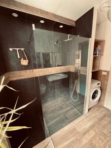 a bathroom with a shower with a glass door at Luce private deluxe apartment near the station in Tirano