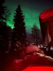 a view of a green sky with a tree at Cabin and outdoor hot tub in Levi in Levi