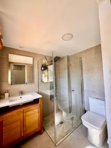a bathroom with a shower and a toilet and a sink at Brisas a un paso del centro in Valencina de la Concepción