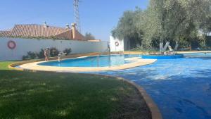 a large swimming pool with people standing around it at Brisas a un paso del centro in Valencina de la Concepción