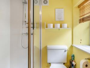 a bathroom with a toilet and a shower at 2 Bed in Cosheston FB060 in Cosheston +11 photos