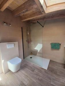 a bathroom with a toilet and a glass shower at Charmante maisonnette in Pontarlier