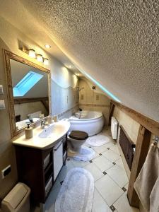 a bathroom with a sink and a toilet and a mirror at Słupiecki Zakątek in Nowa Ruda +10 photos