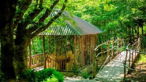 a wooden gazebo in the middle of a forest at Qala Masalli Resort in Masallı