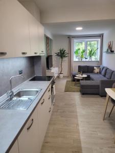 Virtuve vai virtuves zona naktsmītnē Apartment u Ježků