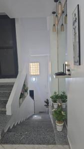 Gallery image of Le beau Mazagran in Mostaganem