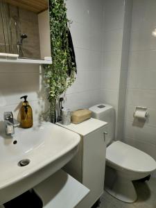 a white bathroom with a toilet and a sink at 3room apartment at central Jyväskylä in Jyväskylä