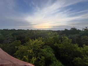 Φυσικό τοπίο κοντά σε αυτή η βίλα