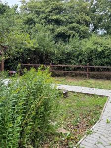 a garden with a bench and a wooden fence at Willow Lodge in Llancarfan +4 photos