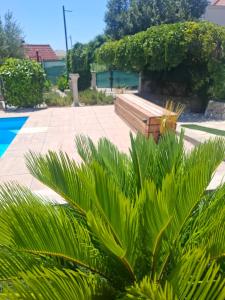 a wooden bench sitting next to a pool at Villa D`Amante in Klis