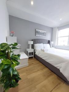 um quarto com uma cama e uma planta dentro em Elegant 2 bedroom Flat in Dartford - Kent em Dartford